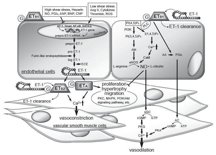 fig11.jpg?w=640